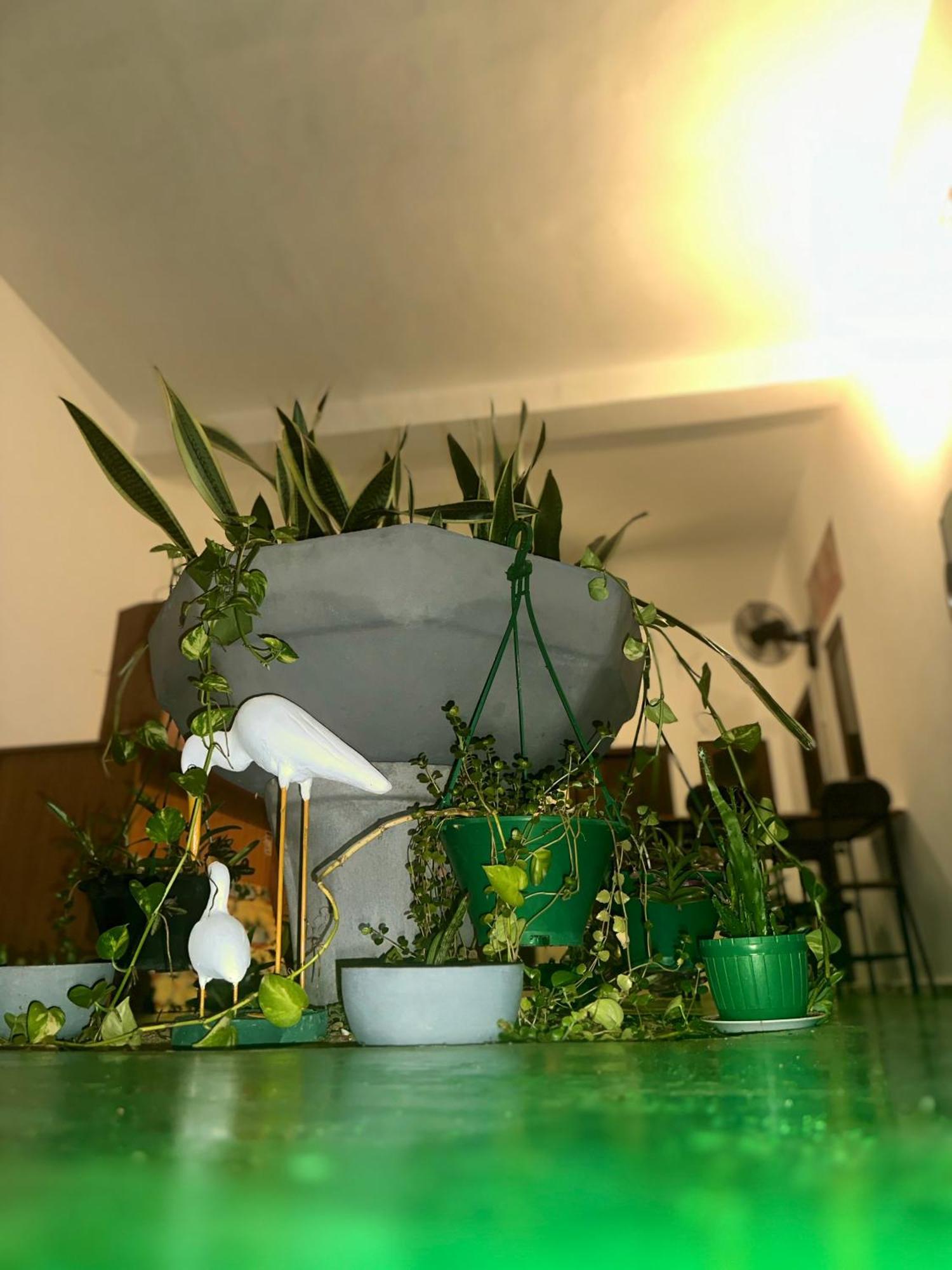 Jaya Villa - Near Airport نيجومبو المظهر الخارجي الصورة